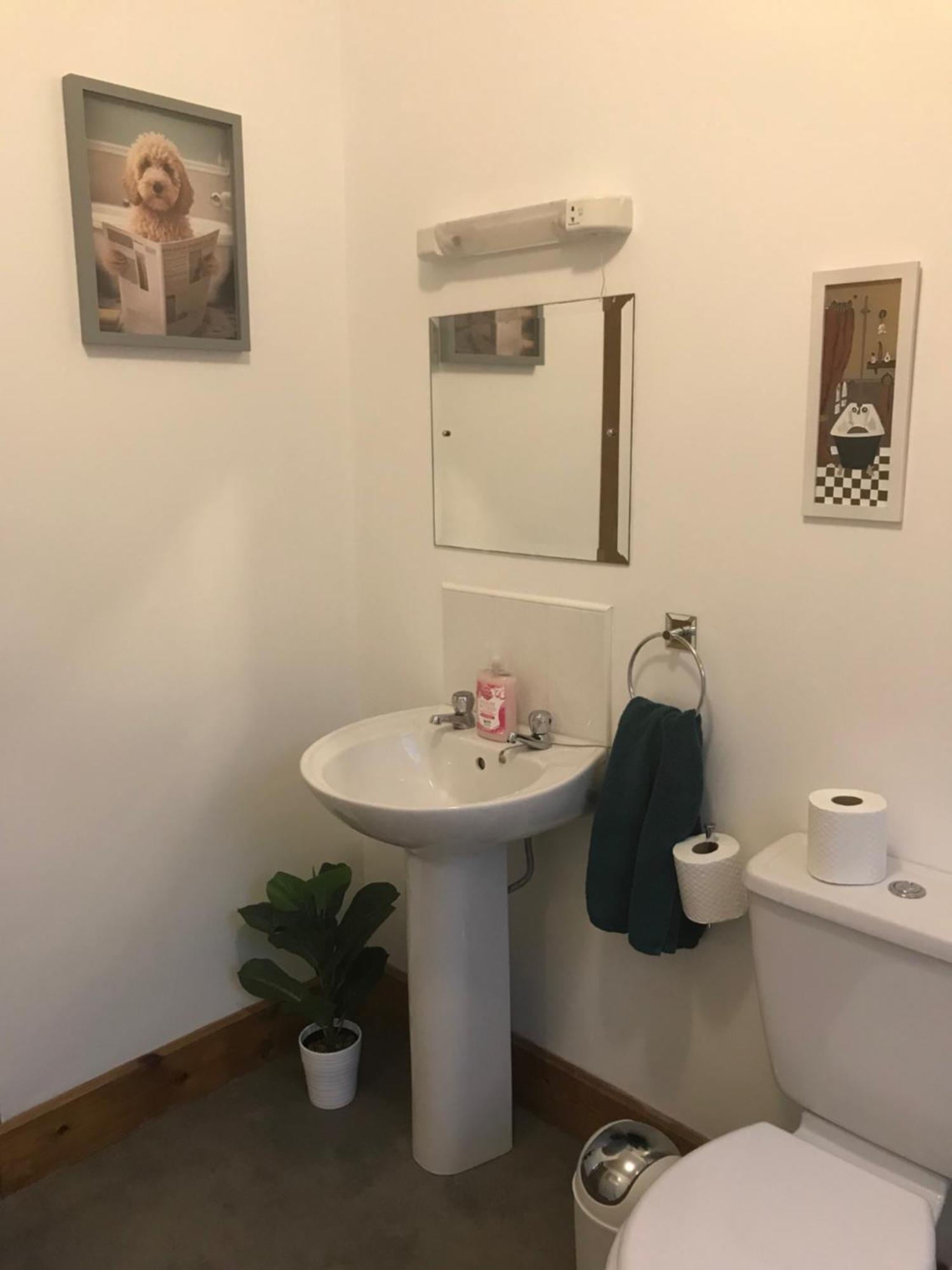 Retreat Apartment Westport
